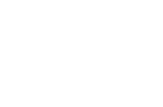 REIP Global